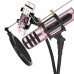 Mikrofon bežični BGN-C7 LED za Karaoke